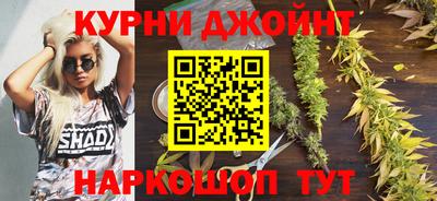 амф Гай